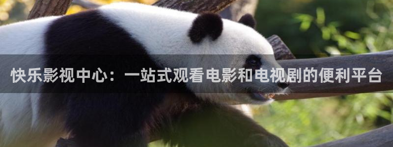 依依影院 色哟哟：快乐影视中心：一站式观看电影和电视剧的便利平台