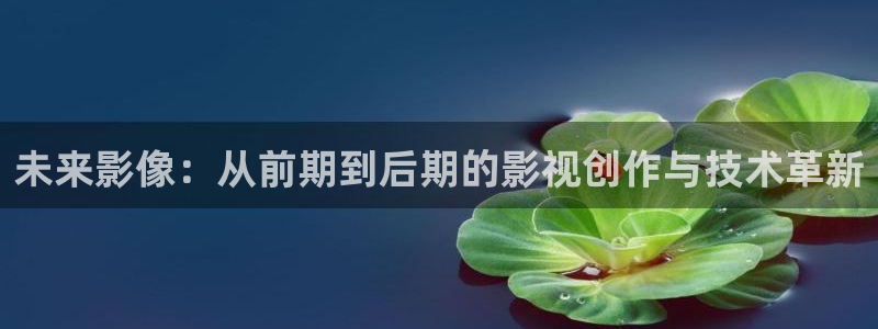 依依婷婷影院：未来影像：从前期到后期的影视创作与技术革新