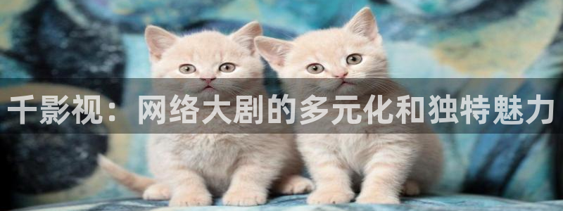 精品国产18久久久久久依依影院：千影视：网络大剧的多元化和独特魅力