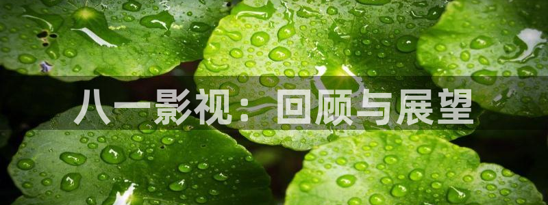 依依影视：八一影视：回顾与展望