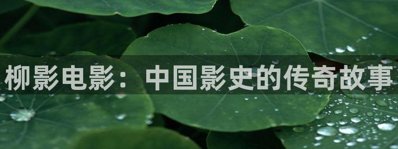 依依高清电影：柳影电影：中国影史的传奇故事