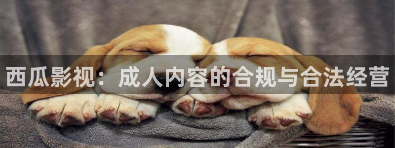 依依电影：西瓜影视：成人内容的合规与合法经营