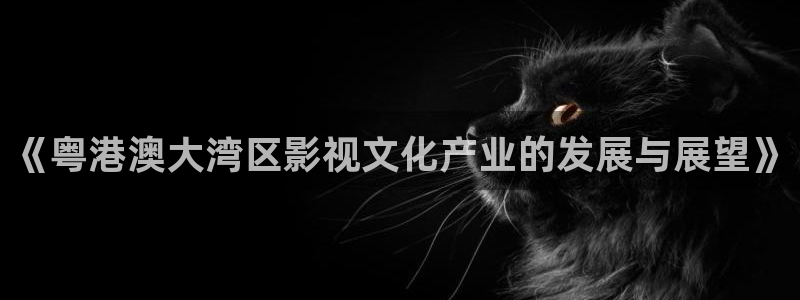 依依影院 成人：《粤港澳大湾区影视文化产业的发展与展望》