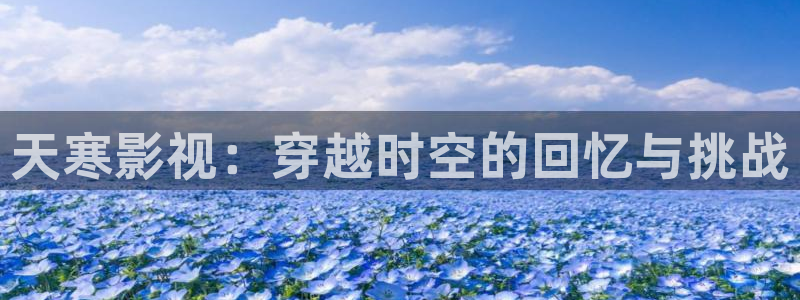 依依影院黄色：天寒影视：穿越时空的回忆与挑战